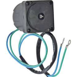 Tilt Trim Motor Suzuki DF60-300 2001-Up 4 Stroke Outboard 38100-96J01
