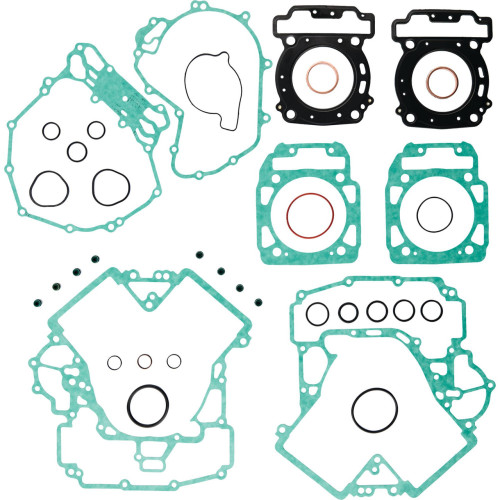 Complete Gasket Kit Without Seals 808986